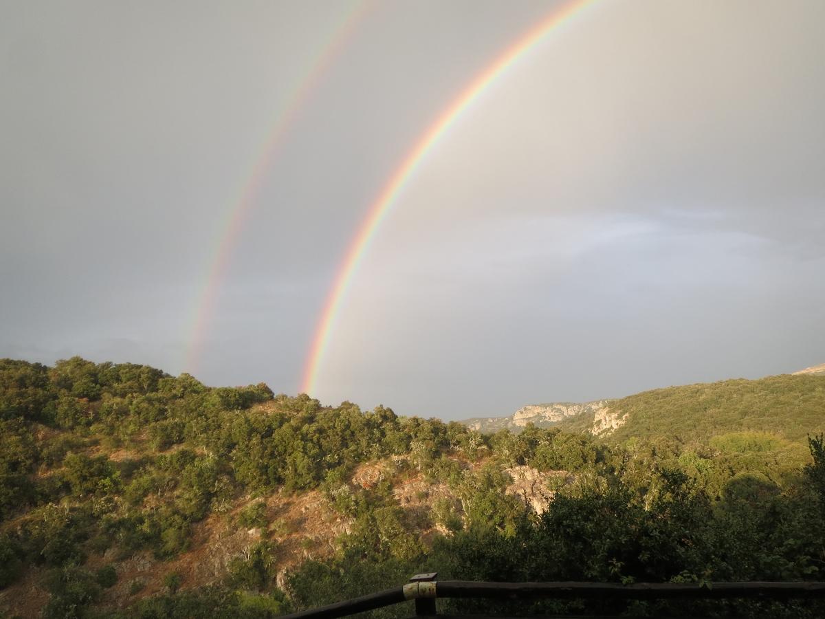 Causse-de-la-Selle Les Hauts D'Issensac מראה חיצוני תמונה