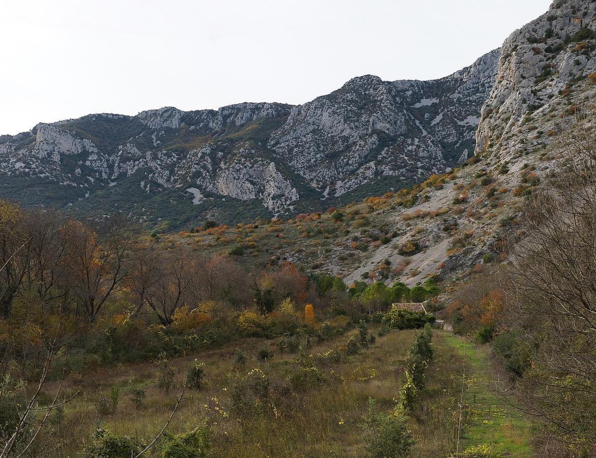Causse-de-la-Selle Les Hauts D'Issensac מראה חיצוני תמונה